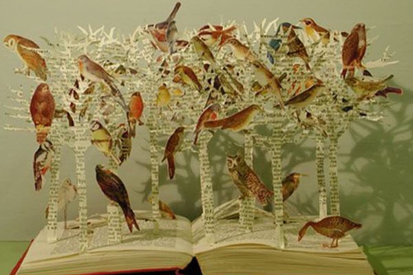 Web Annotation as Conversation and Interruption